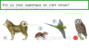 Тесты – Почему и зачем? (стр. 49) – Зачем мы спим ночью? – 140 - 0