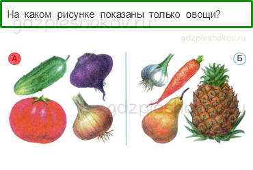 Тесты – Почему и зачем? (стр. 50) – Почему нужно есть много овощей и фруктов? – 142 - 0