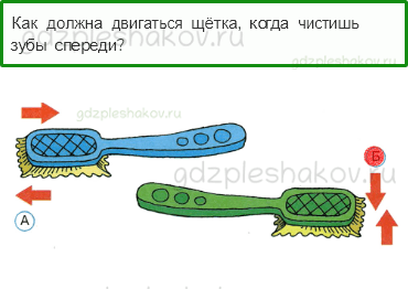 Тесты – Почему и зачем? (стр. 51) – Почему нужно чистить зубы и мыть руки? – 146 - 0