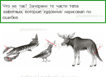 Проверочные работы – Что и кто? (стр. 10) – Вариант 3 – 3 - 0