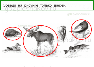 Проверочные работы – Что и кто? (стр. 11) – Вариант 3 – 4 - 0