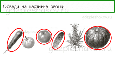 Проверочные работы – Почему и зачем? (стр. 44) – Вариант 1 – 3 - 0