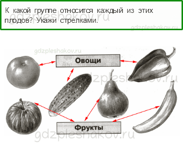 Проверочные работы – Почему и зачем? (стр. 52) – Вариант 4 – 2 - 0