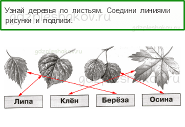 Проверочные работы – Итоговая проверочная работа (стр. 54) – Вариант 1 – 2 - 0