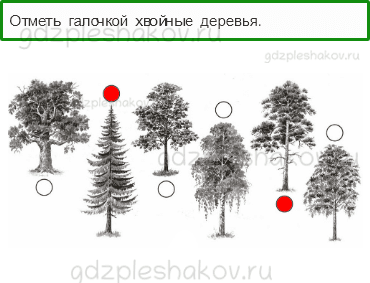 Проверочные работы – Итоговая проверочная работа (стр. 59) – Вариант 3 – 2 - 0