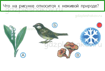 Тесты – Природа (стр. 7) – Неживая и живая природа – 9 - 0
