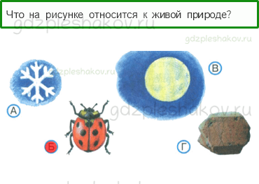 Тесты – Природа (стр. 7) – Неживая и живая природа – 10 - 0