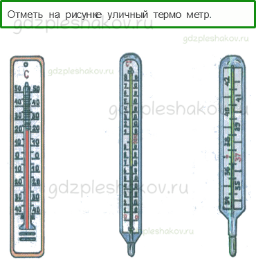 Тесты – Природа (стр. 10) – Как измеряют температуру? – 17 - 0