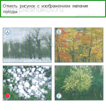 Тесты – Природа (стр. 11) – Что такое погода? – 23 - 0