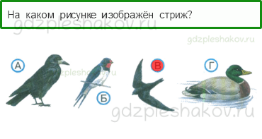 Тесты – Природа (стр. 14) – В гости к осени – 28 - 0