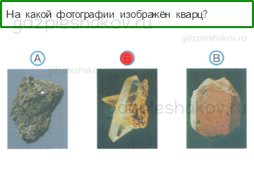 Тесты – Природа (стр. 16) – Заглянем в кладовые Земли – 33 - 0