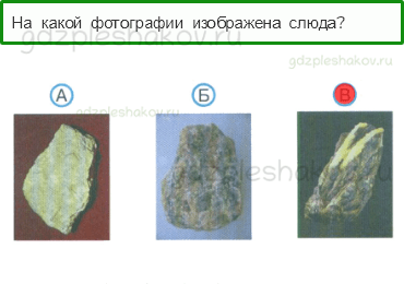 Тесты – Природа (стр. 16) – Заглянем в кладовые Земли – 34 - 0