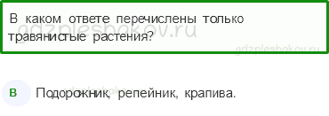 Тесты – Природа (стр. 21) – Какие бывают растения? – 48 - 0