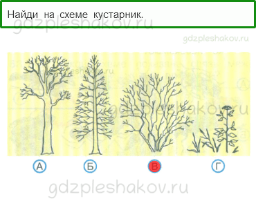 Тесты – Природа (стр. 21) – Какие бывают растения? – 47 - 0