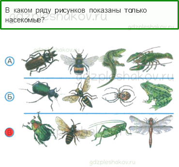 Тесты – Природа (стр. 22) – Какие бывают животные? – 50 - 0