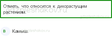 Тесты – Природа (стр. 25) – Дикорастущие и культурные растения – 58 - 0