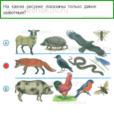 Тесты – Природа (стр. 27) – Дикие и домашние животные – 62 - 0