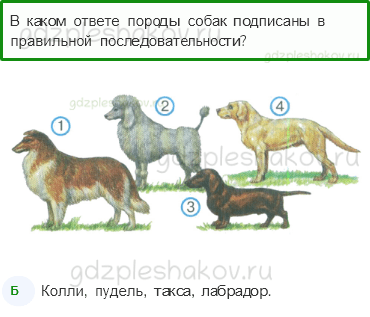 Тесты – Природа (стр. 32) – Про кошек и собак – 75 - 0