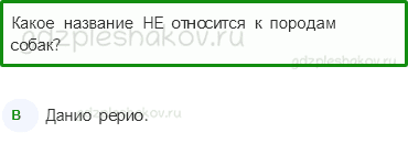 Тесты – Природа (стр. 32) – Про кошек и собак – 76 - 0