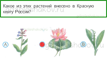 Тесты – Природа (стр. 33) – Красная книга – 77 - 0