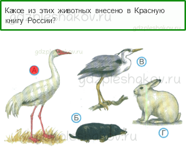 Тесты – Природа (стр. 34) – Красная книга – 80 - 0