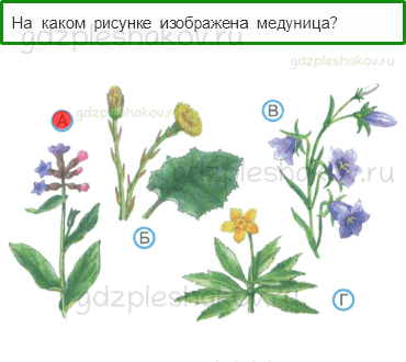 Тесты – Природа (стр. 35) – Будь природе другом! – 82 - 0