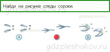 Тесты – Жизнь города и села (стр. 46) – В гости к зиме – 115 - 0