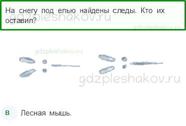 Тесты – Жизнь города и села (стр. 48) – Невидимые нити в зимнем лесу – 120 - 0