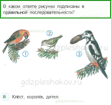 Тесты – Жизнь города и села (стр. 48) – Невидимые нити в зимнем лесу – 118 - 0