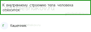 Тесты – Здоровье и безопасность (стр. 49) – Строение тела человека – 122 - 0