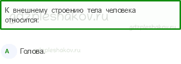 Тесты – Здоровье и безопасность (стр. 49) – Строение тела человека – 121 - 0