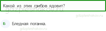 Тесты – Здоровье и безопасность (стр. 55) – Лесные опасности – 143 - 0