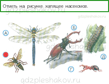 Тесты – Здоровье и безопасность (стр. 56) – Лесные опасности – 144 - 0