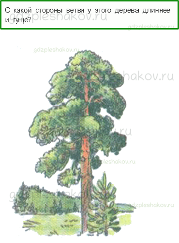 Тесты – Путешествия (стр. 69) – Для чего нужен компас? – 176 - 0