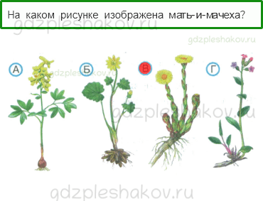 Тесты – Путешествия (стр. 74) – В гости к весне – 188 - 0
