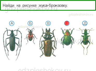 Тесты – Путешествия (стр. 88) – Впереди лето – 220 - 0