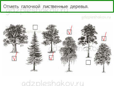Проверочные работы – Проверочная работа по материалу 1 класса (стр. 8) – Вариант 3 – 2 - 0