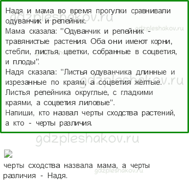 Проверочные работы – Природа (стр. 25) – Вариант 1 – 3 - 0
