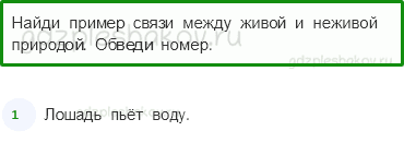 Проверочные работы – Природа (стр. 27) – Вариант 2 – 2 - 0
