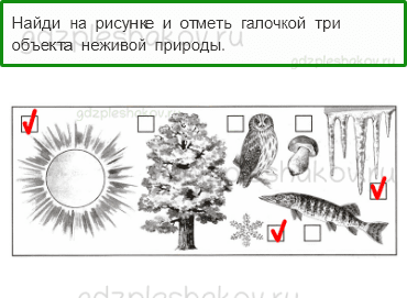 Проверочные работы – Природа (стр. 29) – Вариант 3 – 1 - 0