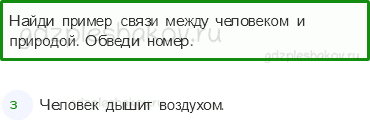 Проверочные работы – Природа (стр. 29) – Вариант 3 – 2 - 0