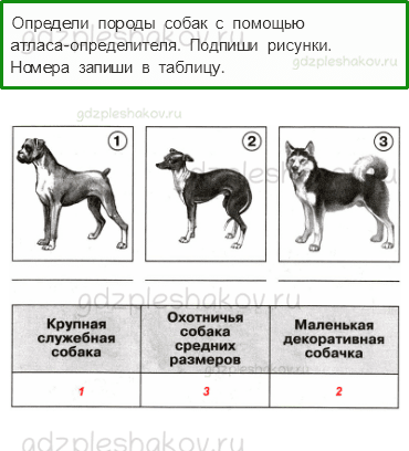 Проверочные работы – Природа (стр. 30) – Вариант 3 – 3 - 0