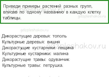 Проверочные работы – Природа (стр. 31) – Вариант 3 – 6 - 0