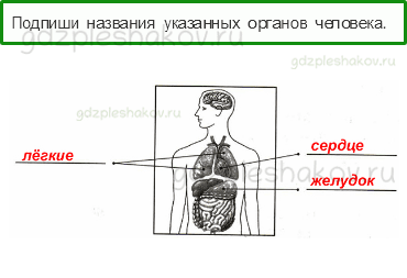 Проверочные работы – Здоровье и безопасность (стр. 50) – Вариант 1 – 1 - 0