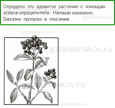 Проверочные работы – Здоровье и безопасность (стр. 52) – Вариант 1 – 6 - 0