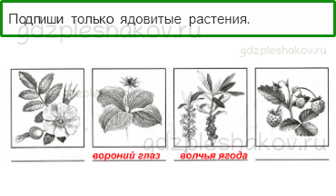 Проверочные работы – Здоровье и безопасность (стр. 56) – Вариант 3 – 5 - 0