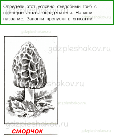 Проверочные работы – Здоровье и безопасность (стр. 60) – Вариант 4 – 6 - 0