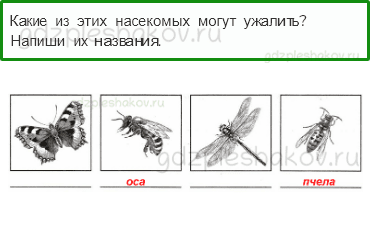 Проверочные работы – Здоровье и безопасность (стр. 59) – Вариант 4 – 5 - 0