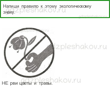 Проверочные работы – Итоговая проверочная работа (стр. 86) – Вариант 2 – 2 - 0