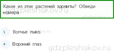 Проверочные работы – Итоговая проверочная работа (стр. 87) – Вариант 2 – 5 - 0